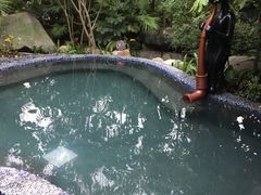 -台山颐和温泉城