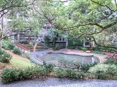 -香港大学