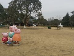 -白马涧龙池景区