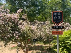 -老君堂公园