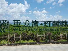 -三亚亚龙湾红树林度假酒店