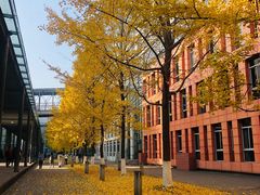 -四川大学(江安校区)