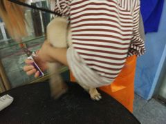 -仁普宠物诊所(住友昌盛新苑店)