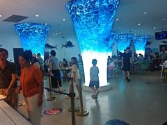 -深海中餐厅(国家海洋博物馆店)