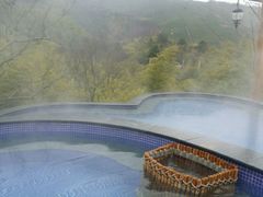 -天目湖御水温泉·度假酒店