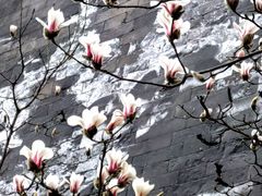 -东华门大街小区