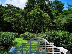 -人民公园(罗湖区)