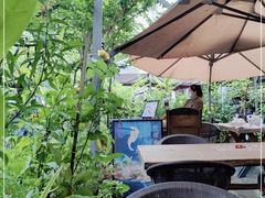 -缘生态云南菜·野生菌庭院餐厅(华侨城店)
