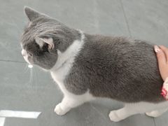 -贝利宠物医院·骨科·眼科·肿瘤转诊中心(南坪诊疗中心)