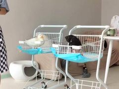 -怪兽屋·羊驼·猫咖·狗咖(俊华广场店)