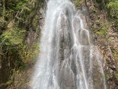 -姑婆山旅游区