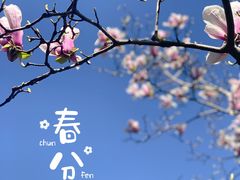 -陆家嘴中心绿地