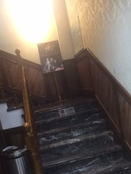 -YESIDO椰岛造型烫发染发