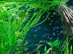 -上海海洋水族馆