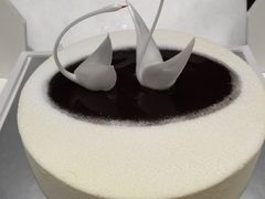 -BLACKSWAN黑天鹅(环球店)