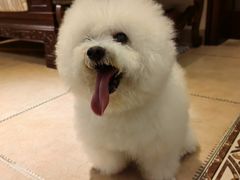 -美联众合动物医院·24h转诊中心