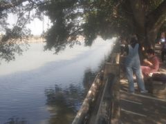 -大湾区中央湿地公园