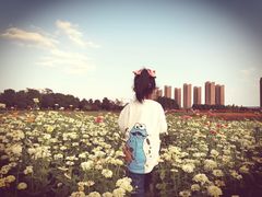 -映月湖中央公园