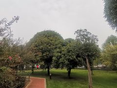 -河南省黄河迎宾馆