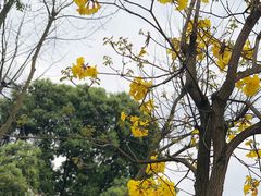 -成飞公园