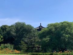-莲花池公园