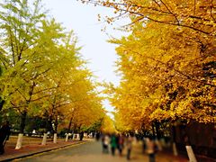 -辽宁大学(崇山校区)