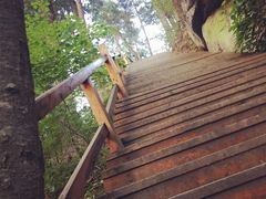 -五营红松林海景区