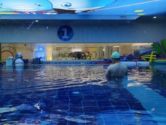-海帆亲子游泳(顺义店)