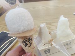 -野人先生Gelato(上海长宁龙之梦店)