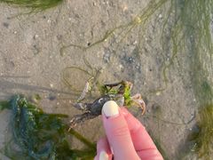 -北海金海湾红树林生态旅游区