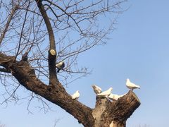 -玄武湖景区-情侣园游乐场