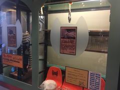 -猫咪博物馆(顶澳仔猫街店)