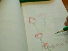 -猫的天空之城概念书店(杭州南宋御街店)