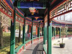 -武汉园博园(武汉自然博物馆)