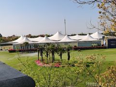 -棕榈滩海景高尔夫俱乐部