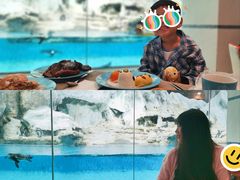 -帝企鹅自助餐厅•儿童岛•真企鹅(长隆企鹅酒店)