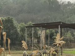 -宁波野生动物园