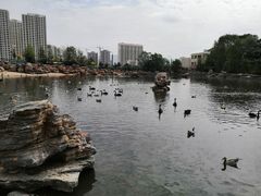 -青藏高原野生动物园