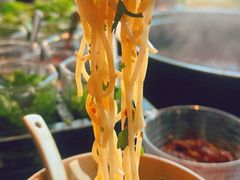 -滇野云南野生菌餐厅(陕西南路店)