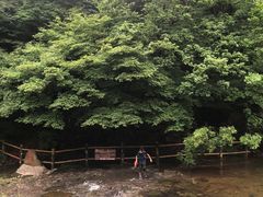 -关门山森林公园