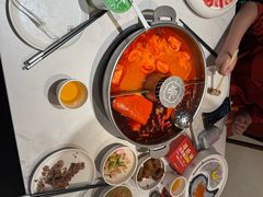 -蜀大侠火锅(总府路店)