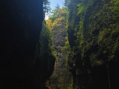-鹿院坪生态旅游景区