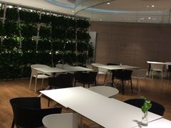 大堂-国际青年会议酒店-苏莱斯餐厅