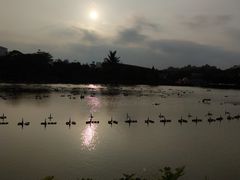 -紫马岭公园