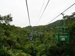 -野象谷景区