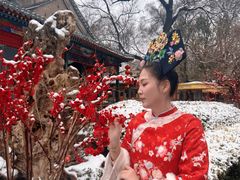 -白家大院·王府宫廷菜(苏州街店)