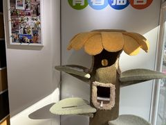 -青奢宠物·青奢猫舍