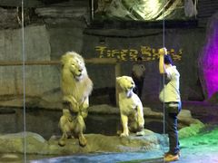 -清迈夜间动物园