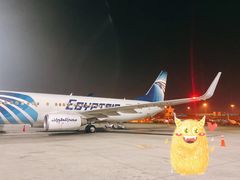 -米兰马尔彭萨国际机场