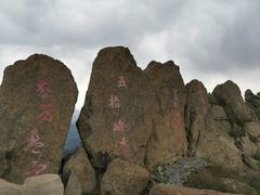 -白草畔自然风景区